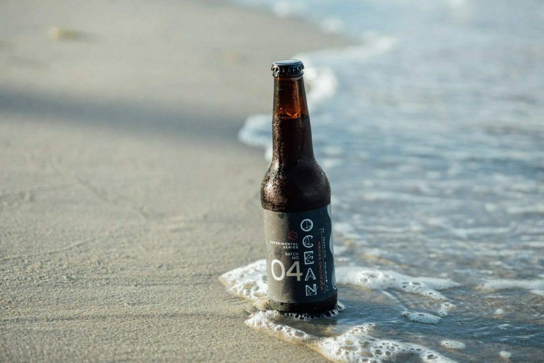 Craft Beer Tasting At Home: Experimental No. 4 Mocaccino Brown Ale By Ocean Lab
