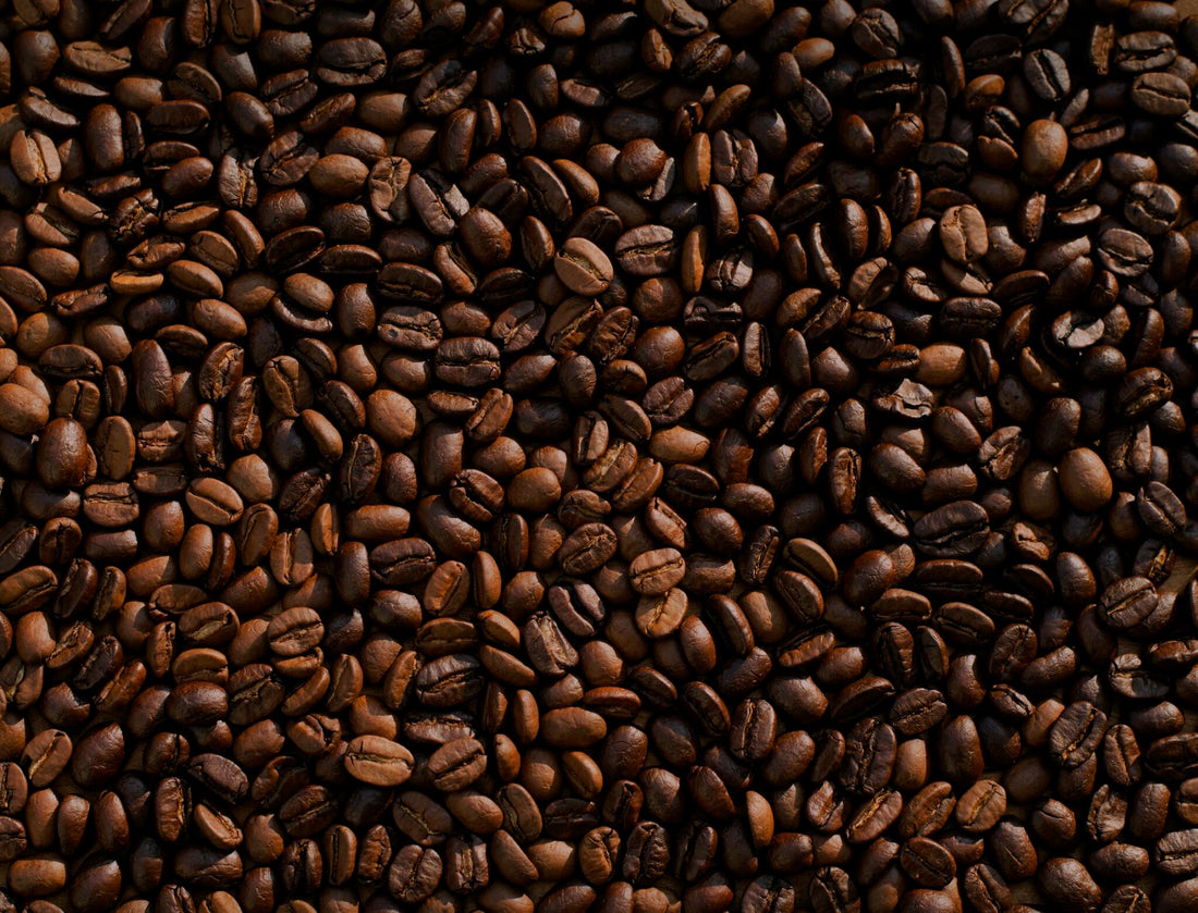 FRESH ROASTED COFFEE YOU CAN COUNT ON