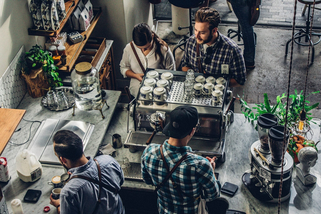 SCA Barista Certificates Program – How It Works