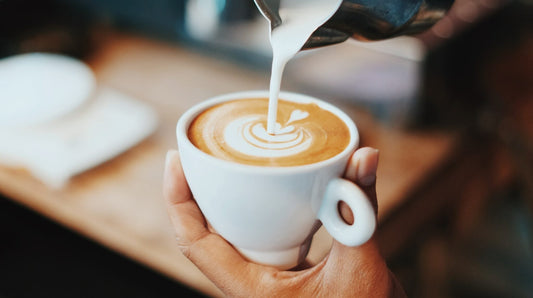 Gustos Coffee presente en la Expo Café y Chocolate en Puerto Rico 2022