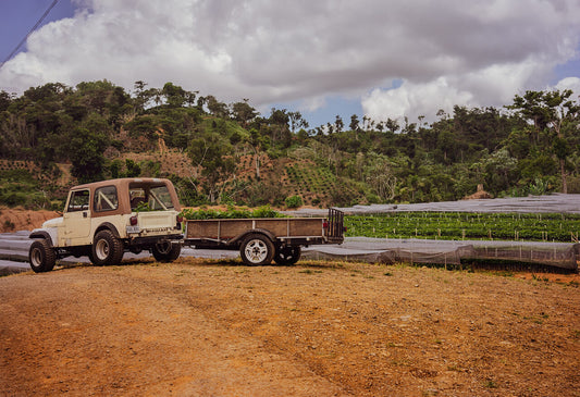 GROWING A SUSTAINABLE FUTURE